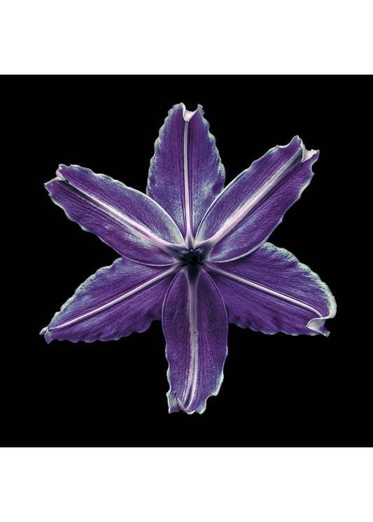 Asteria